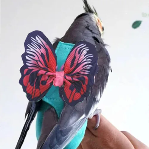 Vista 4 de Arnés de 2 piezas para pañales para pájaros con forro impermeable, ropa para pañales para pájaros con correa voladora, cuerda protectora para loros