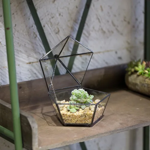 Vista 3 de NCYP Terrario geométrico de vidrio pequeño, contenedor cerrado en caja de joyas, maceta para suculentas, decoración de jardín para interiores