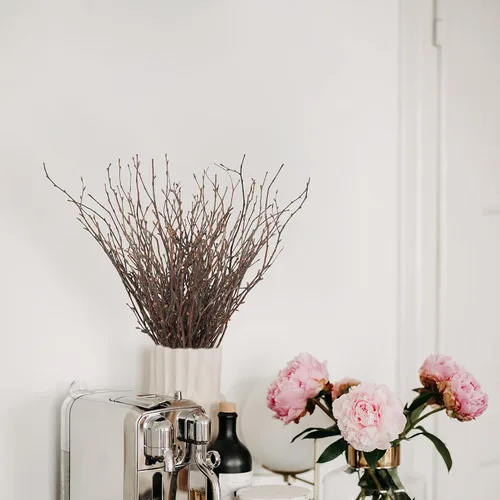 Vista 6 de Uieke 50 ramitas de abedul – Plantas secas naturales de 17 pulgadas, ramas de abedul decorativas para manualidades, palitos de abedul para jarrones