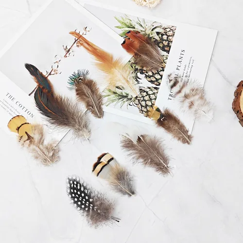 Vista 2 de 200 plumas naturales de 10 estilos surtidos de plumas para atrapasueños y manualidades (10 estilos - 200 piezas)