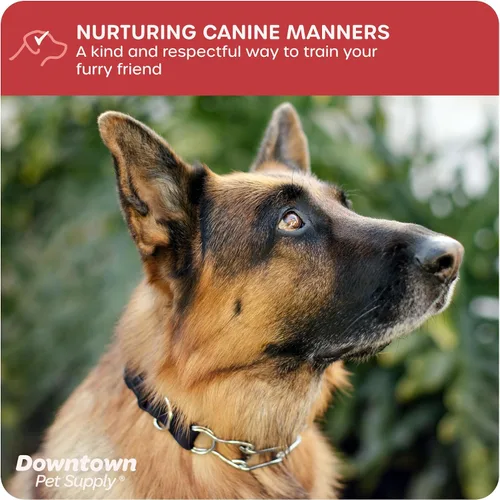 Vista 4 de Downtown Pet Supply Collar de punta cromado/nailon para perros, pequeño, ajustable, sin estrangulamiento y sin tirones, con eslabones extraíbles