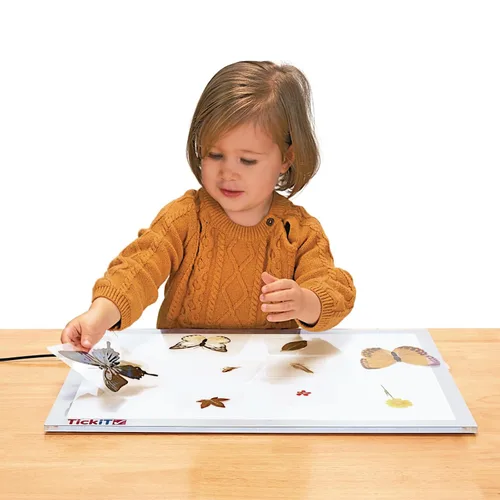Vista 6 de Excellerations Juego de 28 especímenes laminados educativos para estudio de naturaleza STEM (artículo # estudio) For STEM Nature Study