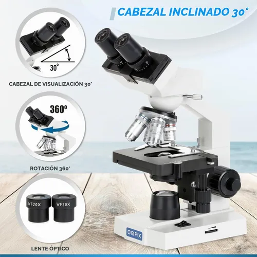 Vista 3 de Microscopio compuesto binocular AmScope OMAX M82E, 40X-1000X
