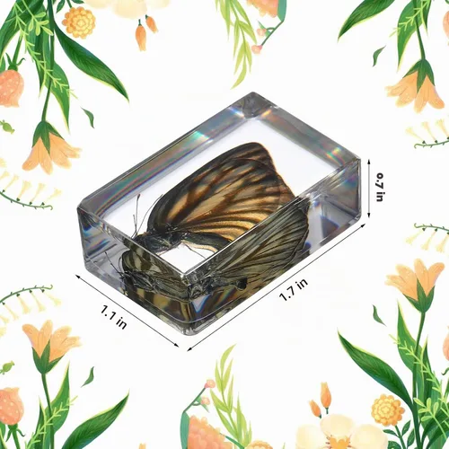 Vista 2 de 16 piezas de insectos mariposa en espécimen de resina, colección de bichos, pisapapeles, 16 estilos de espécimen real de bichos, kit de bichos