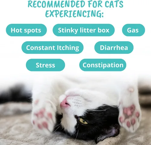 Vista 5 de Under The Weather Masticables probióticos para mascotas para gatos Promueve la digestión normal, equilibra la salud intestinal saludable 60