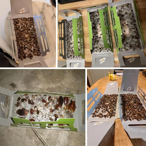 Vista 2 de Trampas para cucarachas, trampas de pegamento con cebo, trampa para cucarachas aptas para mascotas (5 unidades)