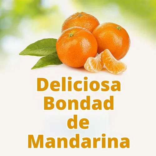 Vista 4 de Del Monte Naranja mandarina en tazas de aperitivos 100% jugo, tazas de 4 onzas (paquete de 12)