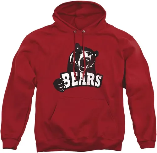 Vista 74 de Distressed College Primary Logo Adult Pullover Hoodie Collection 1 Universidad Estatal de Albany