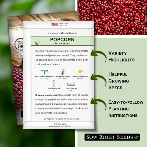 Vista 2 de Sow Right Seeds - Semilla de maíz de fresa para plantar - Paquete de reliquia sin OMG con instrucciones para plantar un huerto casero - Cultiva tus