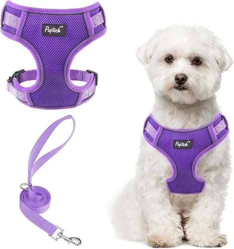 Vista 55 de PUPTECK Juego de arnés y correa para perro pequeño, arnés ajustable sin tirones para cachorro, chaleco de malla suave reflectante para mascotas