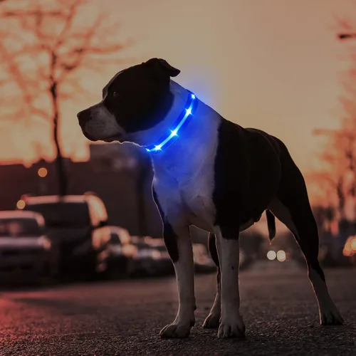 Vista 5 de MASBRILL Collar de perro con luz LED - Recargable, resistente al agua, intermitente, collar brillante para caminar por la noche