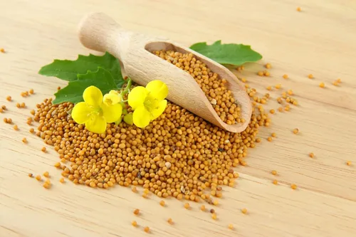 Vista 5 de Semillas Mostaza Amarilla - Vegetal Heirloom - Libre de OGM