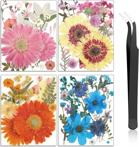 Vista 23 de Nuanchu Flores secas prensadas negras para manualidades, flores secas góticas, flores silvestres prensadas naturales a granel con pinzas para molde