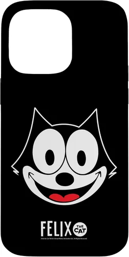 Vista 21 de Funda para disfraz de Halloween de cara grande para iPhone 16