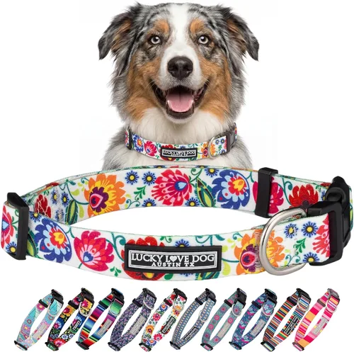 Vista 59 de Lucky Love Dog - Collar para perras pequeñas, diseño Blackbird de estampado alegre con flores de primavera y verano, talla XS Collar Blackbird