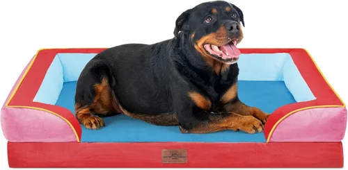 Vista 93 de Comfort Expression - Cama ortopédica para perros medianos, 28 x 19 pulgadas, cama impermeable y de apoyo de espuma con cojines removibles, sofá