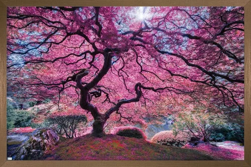 Vista 16 de Trends International Póster de pared Pink Tree 2 de Moises Levy, 22.4 pulgadas de largo x 14.7 pulgadas, versión enmarcada en madera de granero