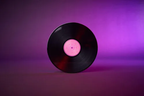 Vista 2 de Mikel Zelda & Chill Vinyl LP