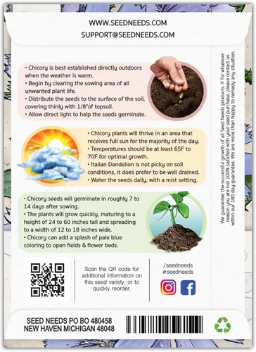 Vista 2 de Seed Needs - Semillas de achicoria para plantar flores azules de diente de león italiano, 1 paquete