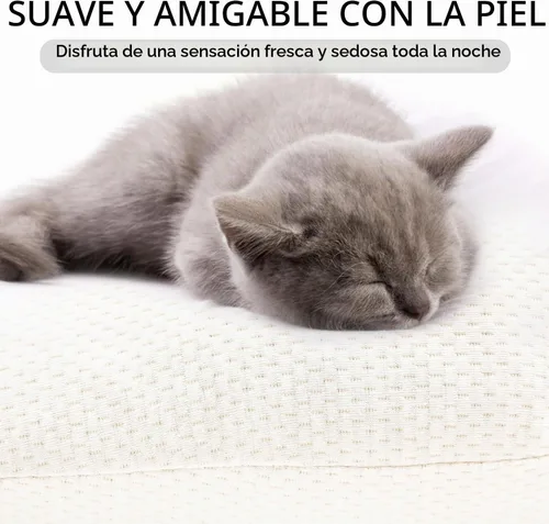 Vista 6 de SCHNAUZER HOME Almohada corporal para adultos – Inserto de almohada suave y larga para dormir – Espuma viscoelástica triturada y funda extraíble
