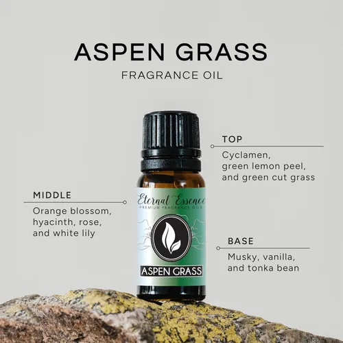 Vista 2 de Aspen Grass – Aceites Aromáticos de Grado Premium – 10 ml/0.33 oz – Aceite Perfumado