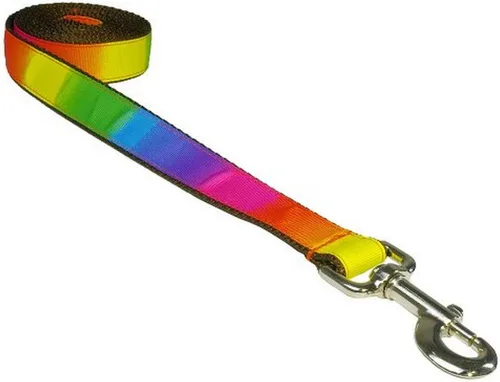 Vista 2 de Correa de perro de arco iris pequeña: 1/2 pulgada de ancho, 4 pies de longitud - fabricada en EE. UU.