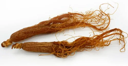 Vista 3 de Raíz de ginseng rojo, ginseng rojo de Corea, raíz de ginseng rojo coreano, raíz de ginseng coreano rojo orgánico natural, raíz de ginseng radix