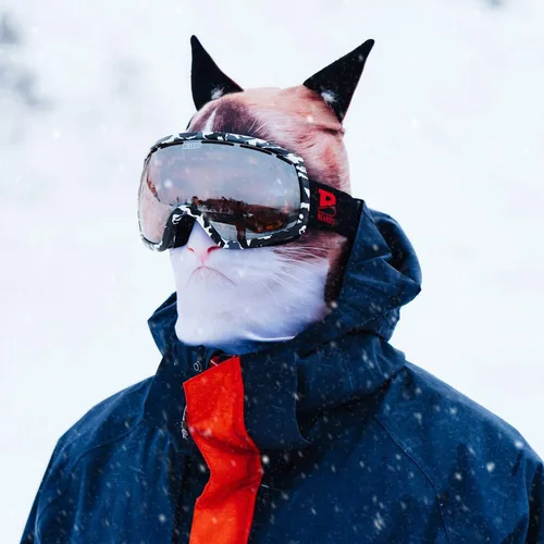 Vista 5 de BEARDOWEAR Máscara de esquí con cabeza de gato enojado unisex con impresión realista.