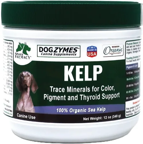 Vista 6 de Dogzymes Kelp noruego orgánico mejorado con ajo (12 onzas)