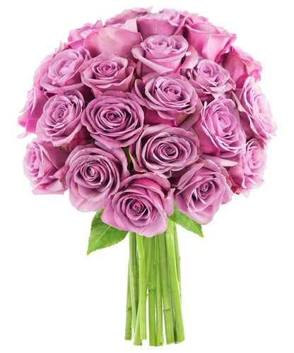 Vista 17 de KaBloom -6 ramos de rosas surtidas, flores para San Valentín, día de la madre Surtido