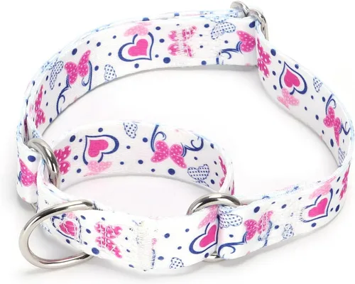 Vista 17 de Collar de perro de nailon resistente, collar ajustable de martingala para perros para caminar y entrenamiento para perros machos y hembras perros