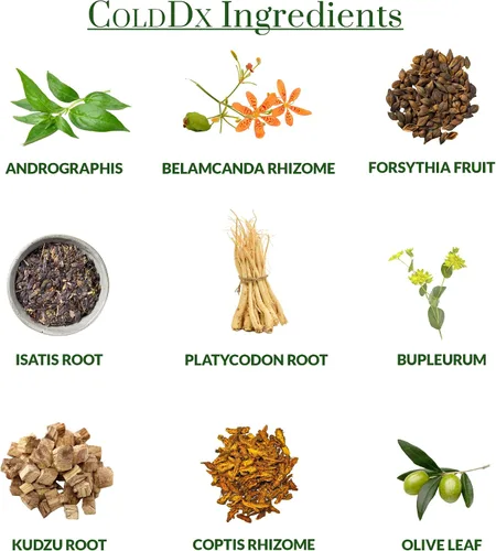 Vista 5 de ColdDx Suplemento natural para defensa herbaria y salud respiratoria, sin somnolencia, sin estimulantes, alivio rápido, vegano, a base de plantas