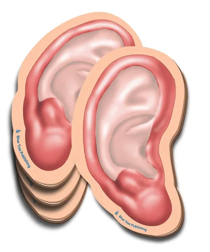 Vista 23 de Notas Adhesivas de Anatomía
