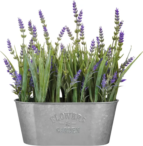 Vista 7 de Haute Decor Lavanda de 10 pulgadas en maceta de metal galvanizado