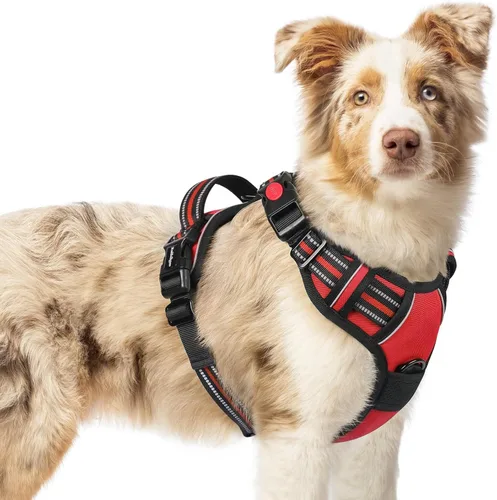 Vista 71 de Rabbitgoo - Arnés para perro de tamaño pequeño, actualizado, fácil de poner y quitar con 3 hebillas Sin tirones, sin estrangulamiento, caminar