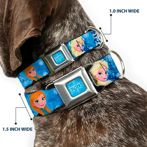 Vista 2 de Buckle-Down Collar de perro con hebilla de cinturón de seguridad, diseño de personajes de Frozen Poses azules, 1 pulgada de ancho, se adapta a