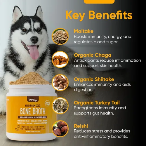 Vista 4 de iHeartDogs Caldo de huesos y colágeno para perros, caldo de huesos y hongos en polvo dorado para apoyo del sistema inmunológico, movilidad
