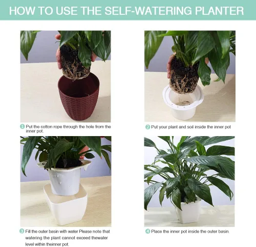 Vista 7 de FENGZHITAO Maceta de riego automático, de plástico transparente, maceta cuadrada para todas las plantas, suculentas, hierbas, violetas africanas