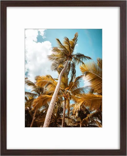 Vista 108 de Frametory, Marco de fotos de 11 x 14 pulgadas con paspartú para fotos de 8 x 10 pulgadas, moldeado ancho de vidrio de alta definición, accesorios