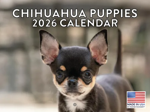 Vista 6 de Calendario mensual de pared Airedale Terrier Dog 2027 rojo (Airedale Terrier)