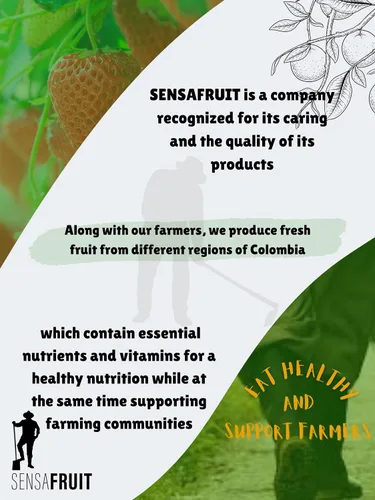 Vista 5 de SENSAFRUIT -Fruta de dragón seca 100% natural SIN AZÚCAR AÑADIDO, SIN SULFURED Sin gluten Bocadillo perfecto para tu familia Productores