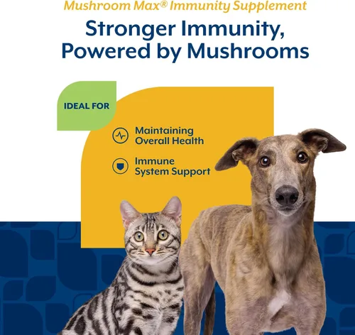 Vista 4 de NaturVet Mushroom Max - Suplemento avanzado para perros de apoyo inmunológico – Ayuda a fortalecer la inmunidad, la salud general de los perros