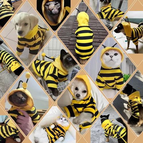 Vista 7 de DENTRUN Sphynx - Suéter de gato, divertido disfraz de abeja y ropa cálida transpirable