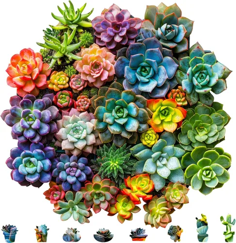 Vista 19 de Mys Aurora - Rompecabezas de madera para adultos, diseño de cactus y flores, 200 piezas