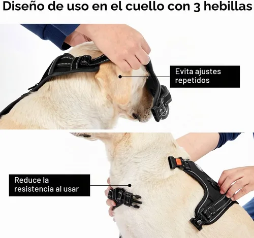 Vista 4 de IVY&LANE Arnés sin tirones para perros pequeños, arnés de chaleco para perro con correa, cinturón de seguridad y correa de almacenamiento, arnés