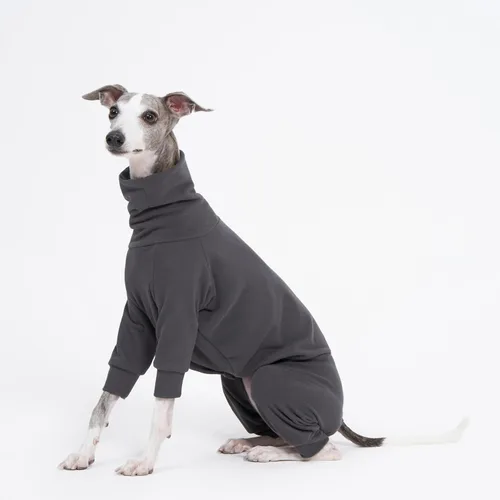 Vista 6 de Ropa interior mullida de algodón acogedora para galgos italianos, whippets, pijamas y overoles súper suaves y cálidos (S, gris)