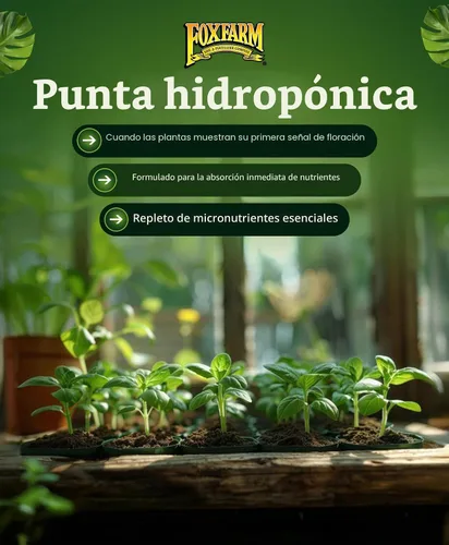 Vista 6 de Hydrofarm FX14094 Grow Big Hydro - Concentrado de alimento para plantas, 1 pinta., 1