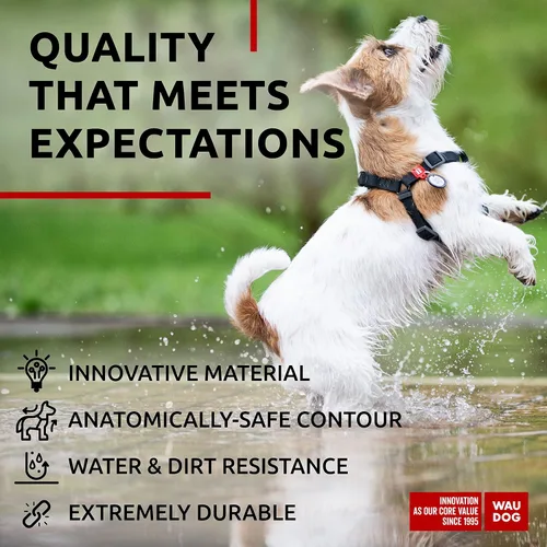 Vista 4 de WAUDOG Juego de arnés y correa impermeable para perro de 6 pies, ajustable, resistente con cierre de metal duradero y placa QR para perro