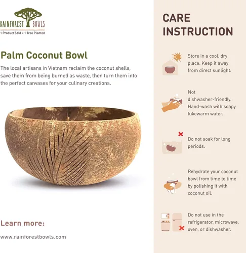 Vista 6 de Rainforest Bowls Cuenco de coco de palmera – Cuenco de arte sostenible inspirado en la naturaleza – Hecho a mano de una cáscara de coco recuperada