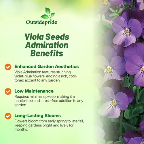 Vista 3 de Outsidepride Admiration Viola - Semillas de pensamiento para plantar, 1000 unidades. Flores perennes, resistentes al frío y aptas para polinizadores